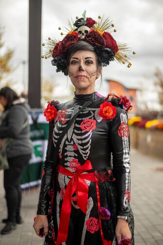 Dia de los Muertos